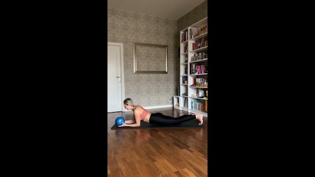 Mini workout dorso