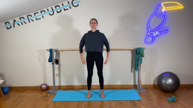 12/10 Barre Tono e allungamento - Lez...