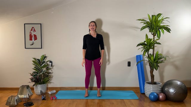 25/10 Barre  addome glutei e dorsali-...