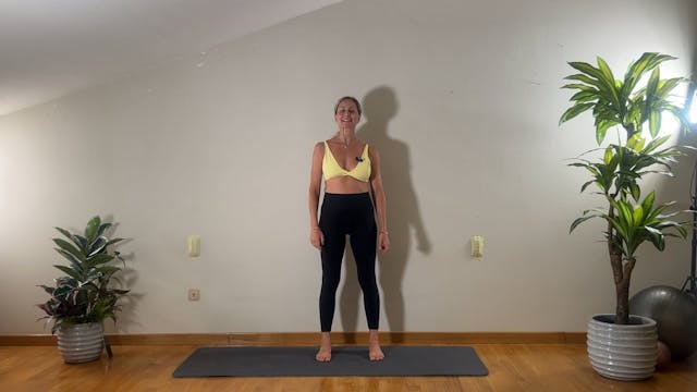 Summer series - Terra Flow - live - c...