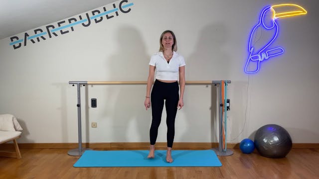 Barre Total body in Passè