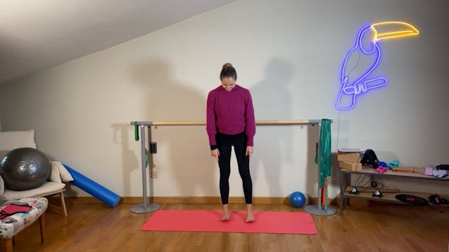 Barre Tone - Glutei e Dorsali con pes...