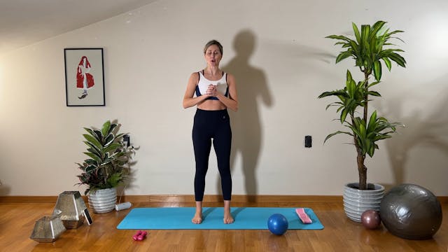 Circuit Barre - 3 ripetizioni delle 5...