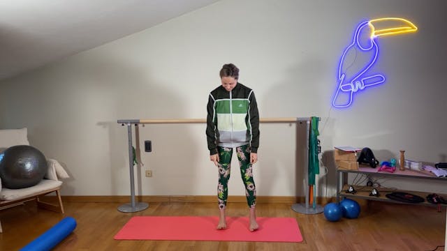 Barre Total Body con soft ball 