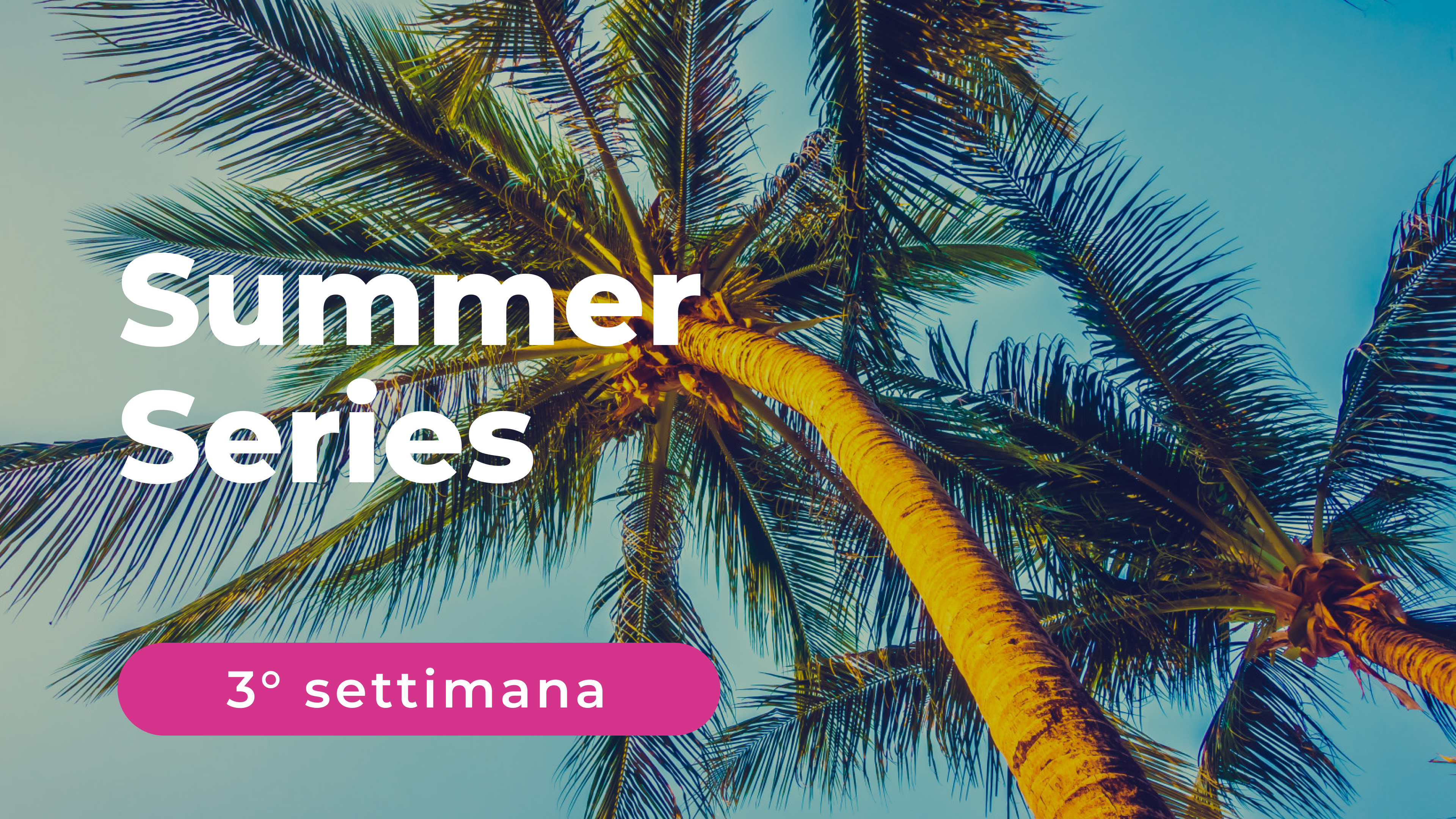 Summer Series - 3° Settimana