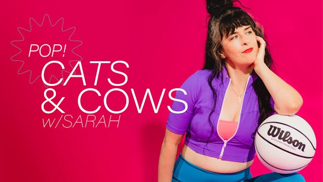 Pop! Cats & Cows