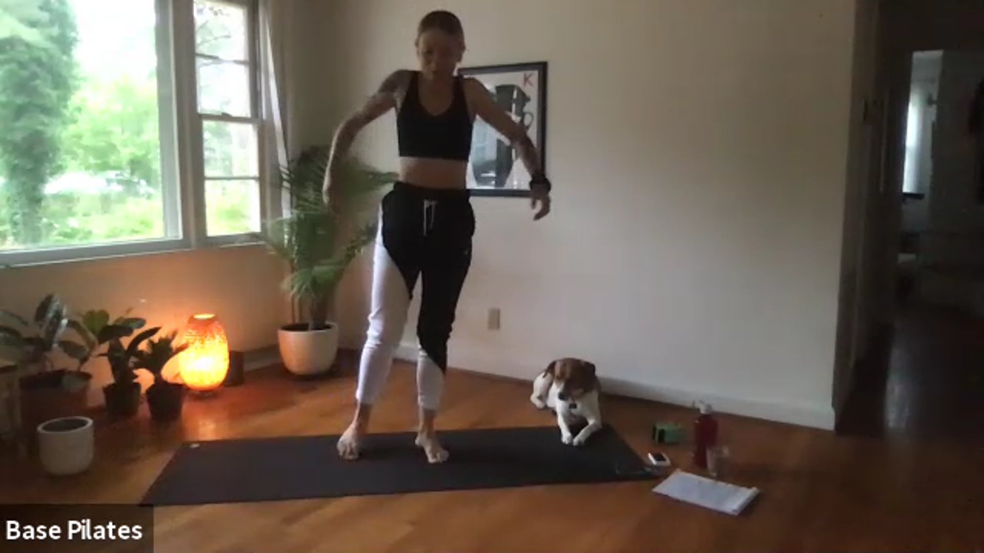 P.E.+ Live Vault Class 1 w/ Stella 