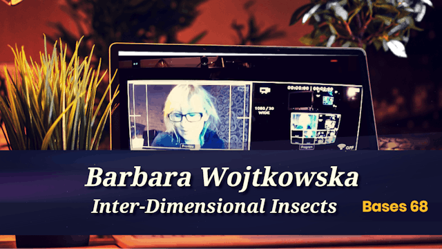 Bases 68 - Barbara Wojtkowska - Interdimensional Insects