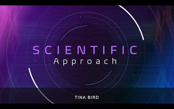 Bases Talks - Tina Bird - The Human c...