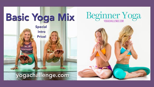 Beginner Yoga & Basic Yoga Mix BUNDLE