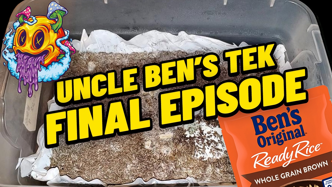 Uncle Ben's Tek Grow Series Finale - S1 EP8