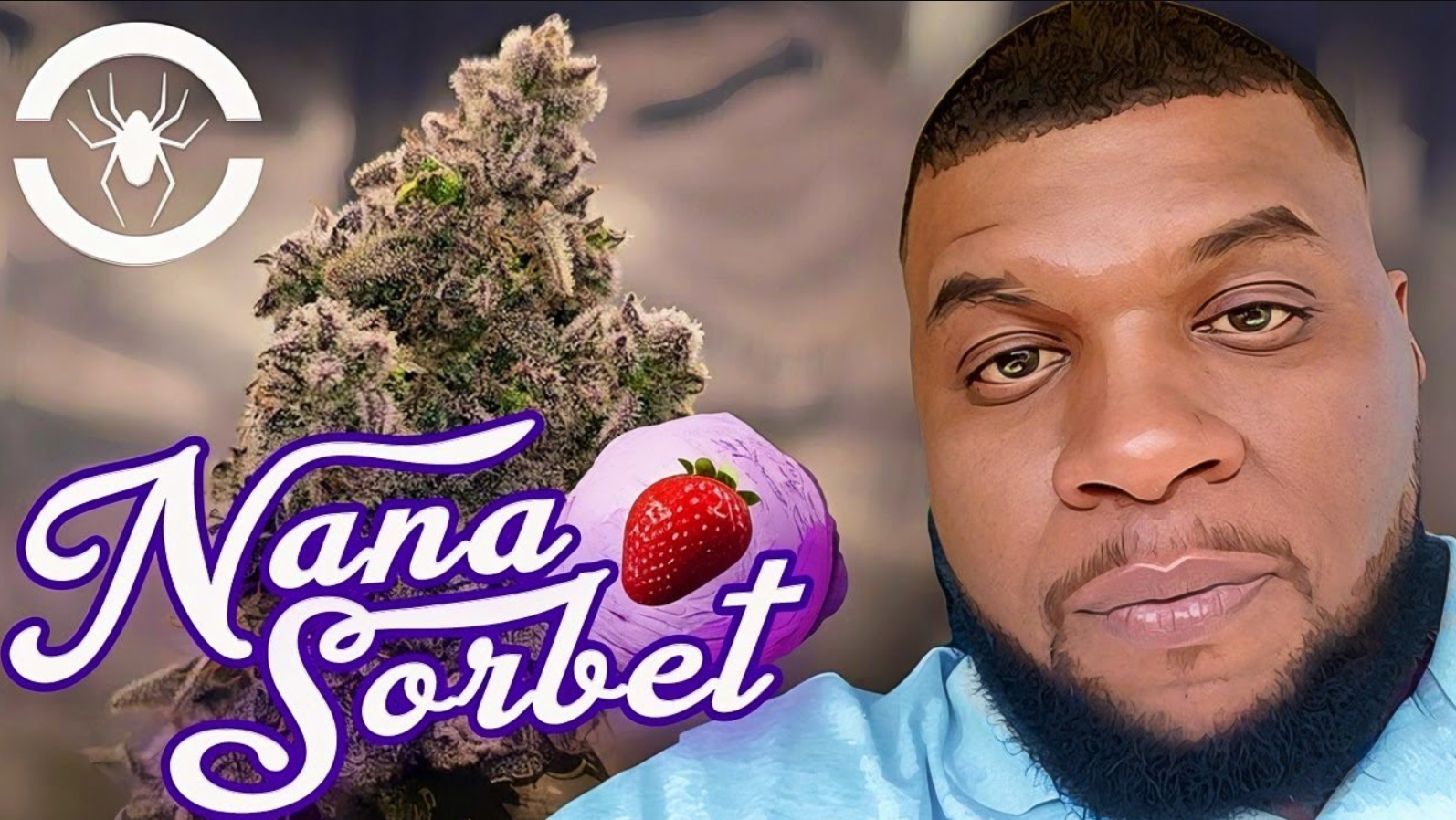 Seed To Harvest - Nana Sorbet 🍨 ORGANIC USING WATER ONLY!!!