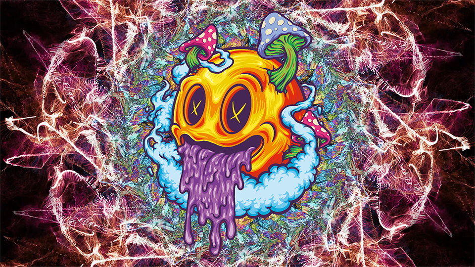 Welcome To The Rookie Mycologist