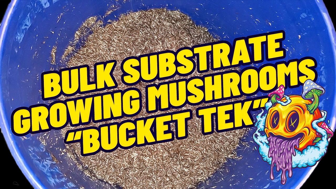 How To Make Bulk Substrate - Bucket Tek