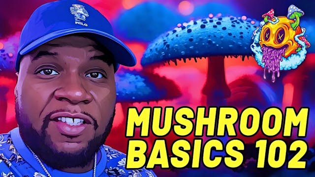Mushroom Basics 102