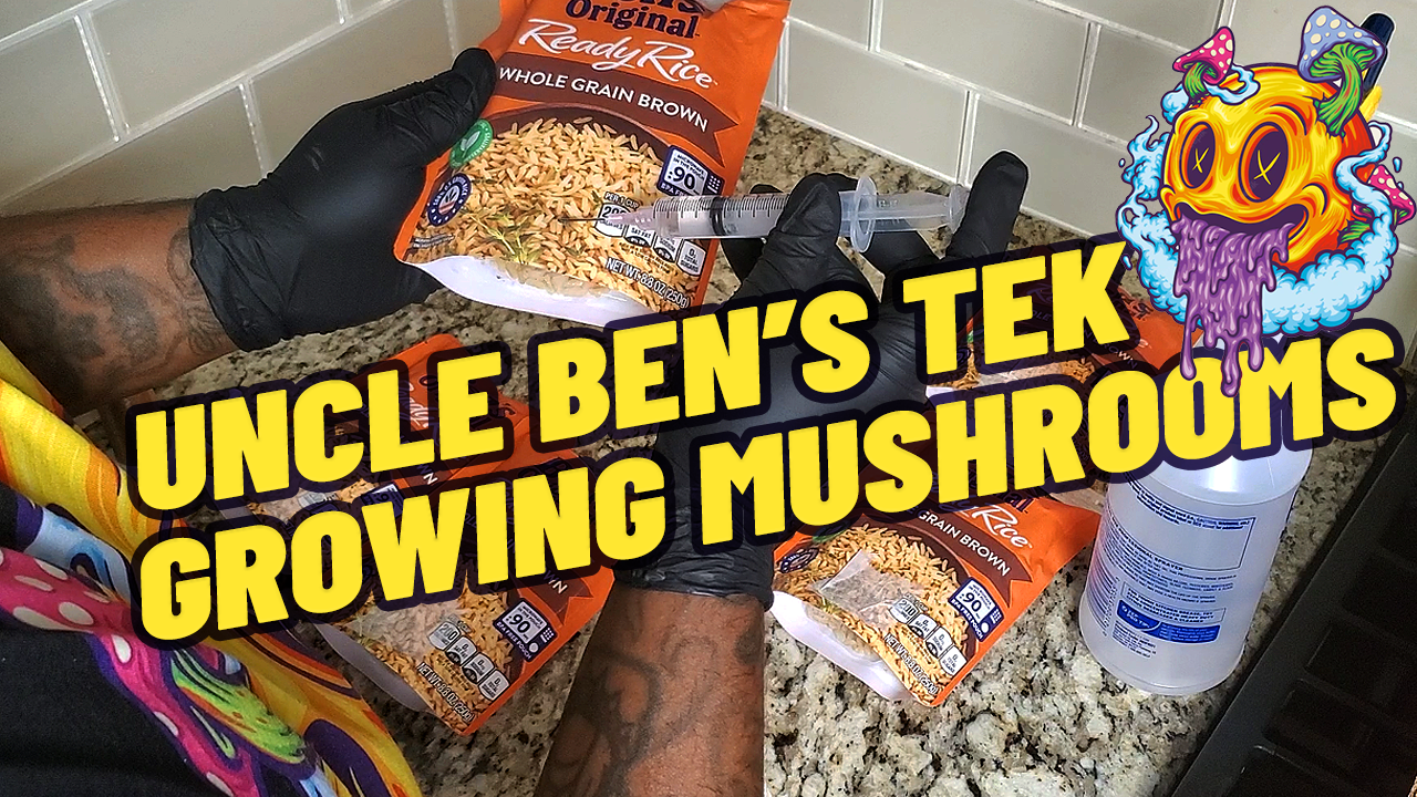 How To Inoculate Uncle Ben's Rice - S1 EP1