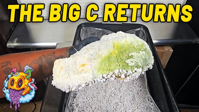 Contamination Has Returned