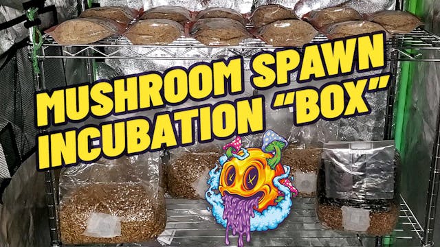 Creating My Own Mushroom Spawn Incuba...