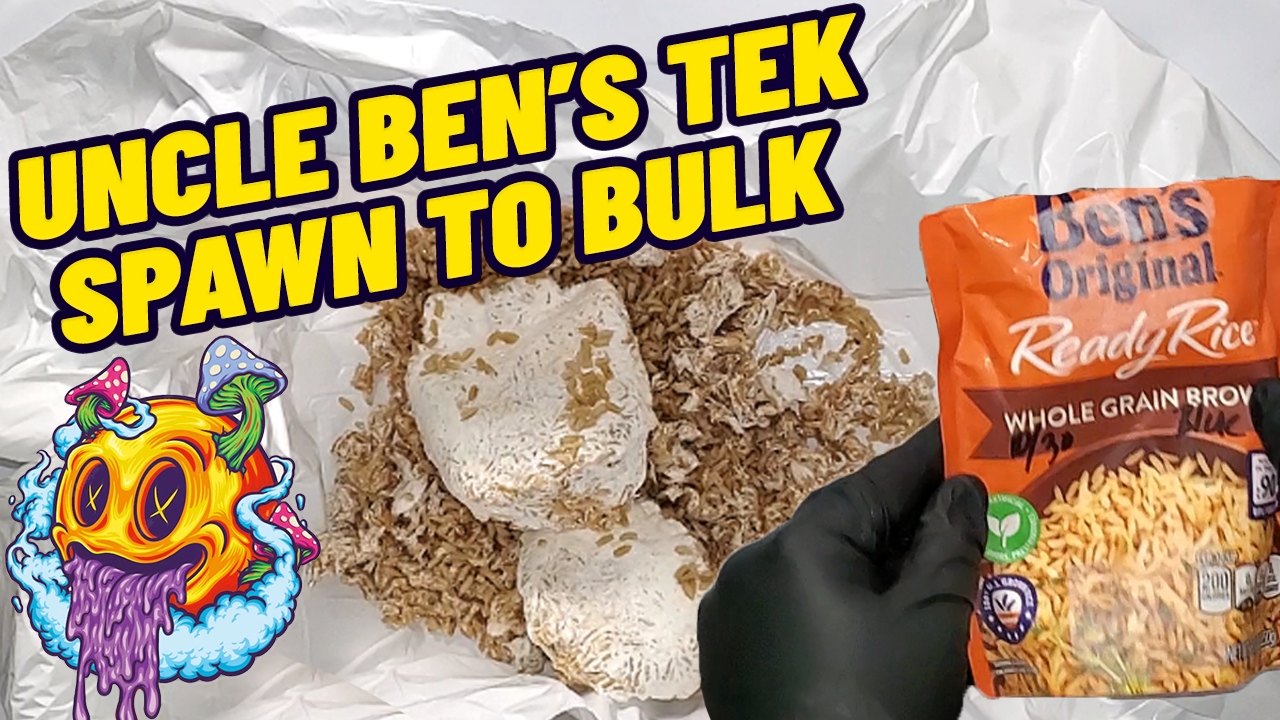 Uncle Ben's Tek Spawn To Bulk for Monotubs & Shoeboxes - S1 EP4