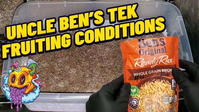 Uncle Ben's Tek Fruiting Conditions -...