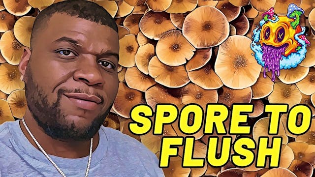 Spore To Flush - Uncle Ben's Tek Seas...