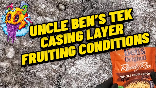 Uncle Ben's Tek Casing Layer & Fruiti...