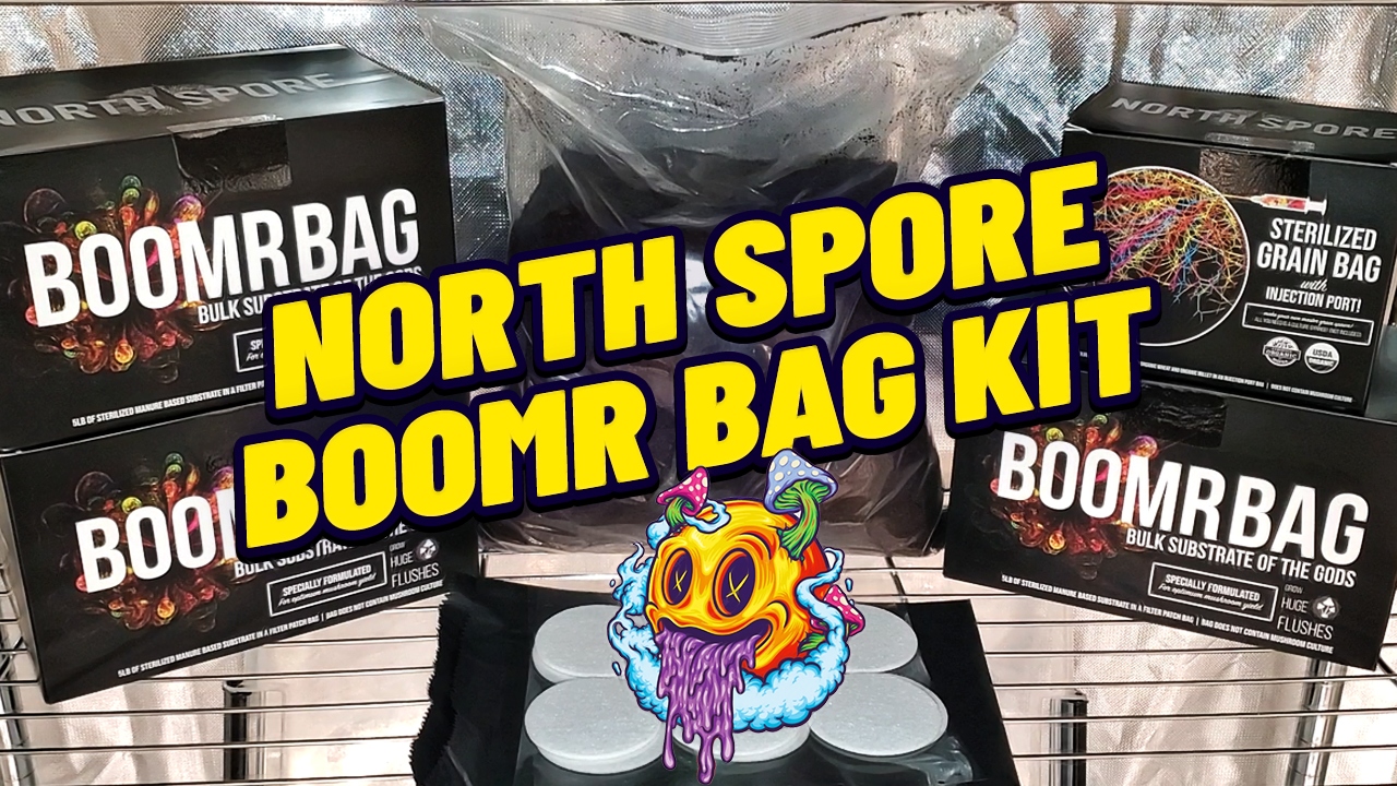 North Spore Boomr Bag Kit