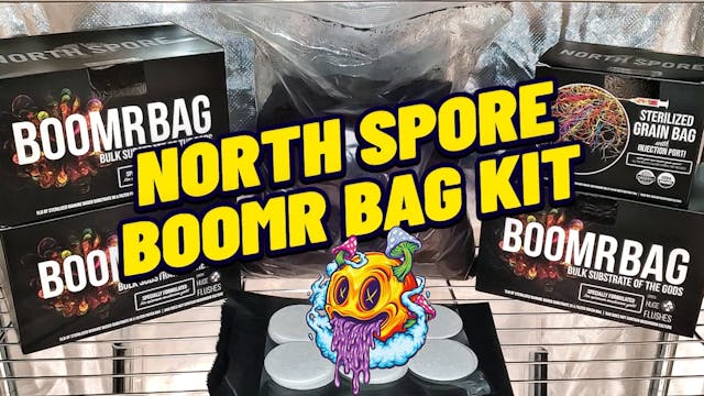 North Spore Boomr Bag Monotub Grow Ki...