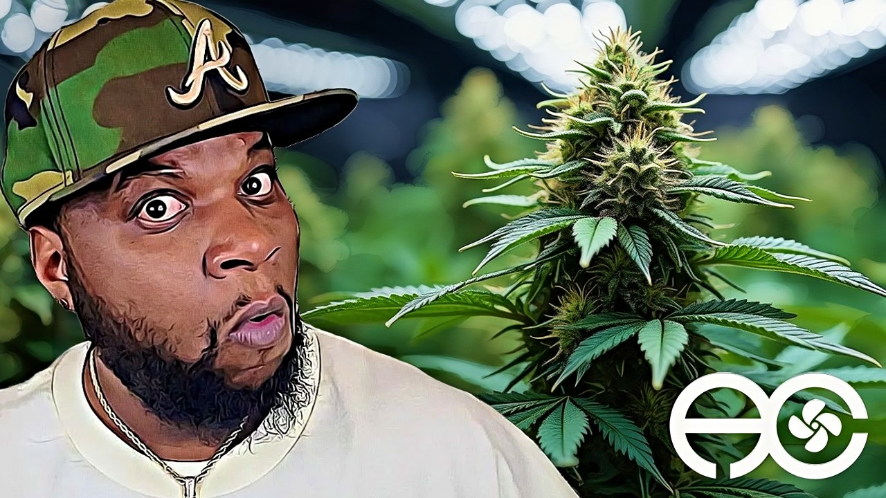 Seed To Harvest - Apple Fritter WATER ONLY! | AC Infinity EVO4