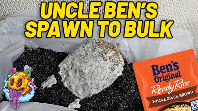 Uncle Ben's Rice Spawn To Bulk - S4 EP2