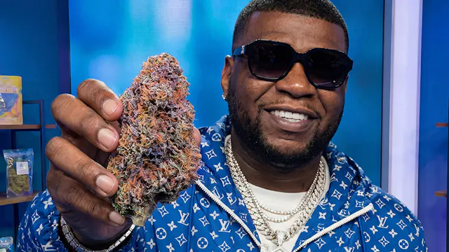 Seed To Harvest - Lemon Cherry Runtz ...