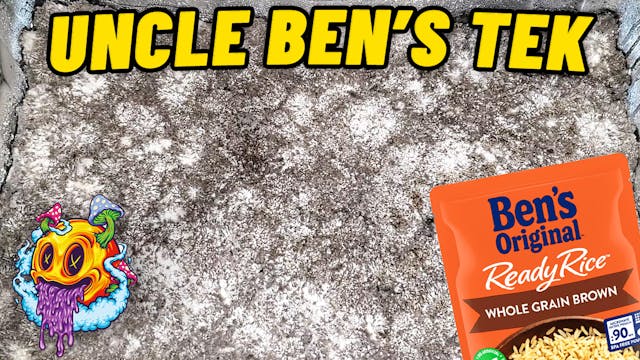 Uncle Ben's Tek Fruiting Conditions W...