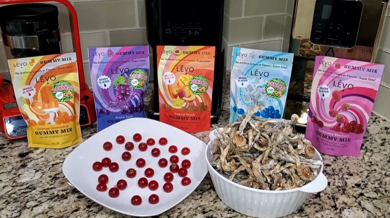Making Mushroom Gummies with LEVO