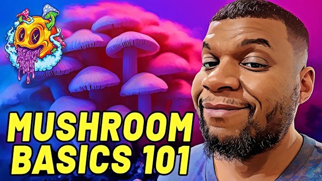 Mushroom Basics 101