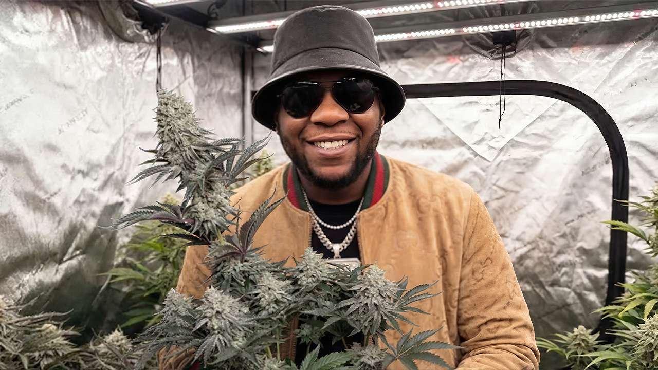 Seed To Harvest - Gorilla Melon 🦍🍈| Infinity Grow: Season 8