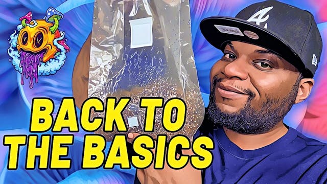 Back To The Mushroom Basics