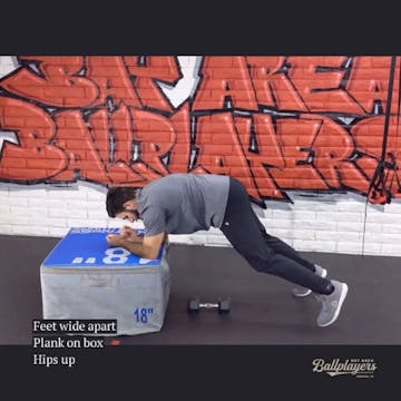 Elevated Plank Row (DB/KB)