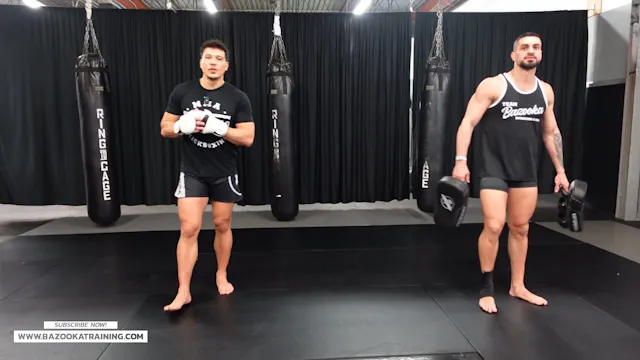 PADS WORKOUTS - ALL TYPES OF LOW KICKS