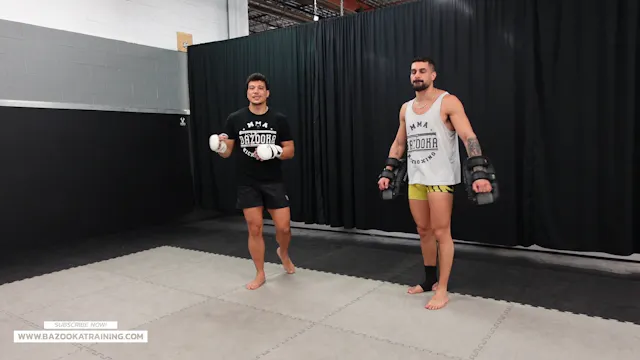 PADS WORKOUTS - 3 DIFFERENT STEPS TO ...