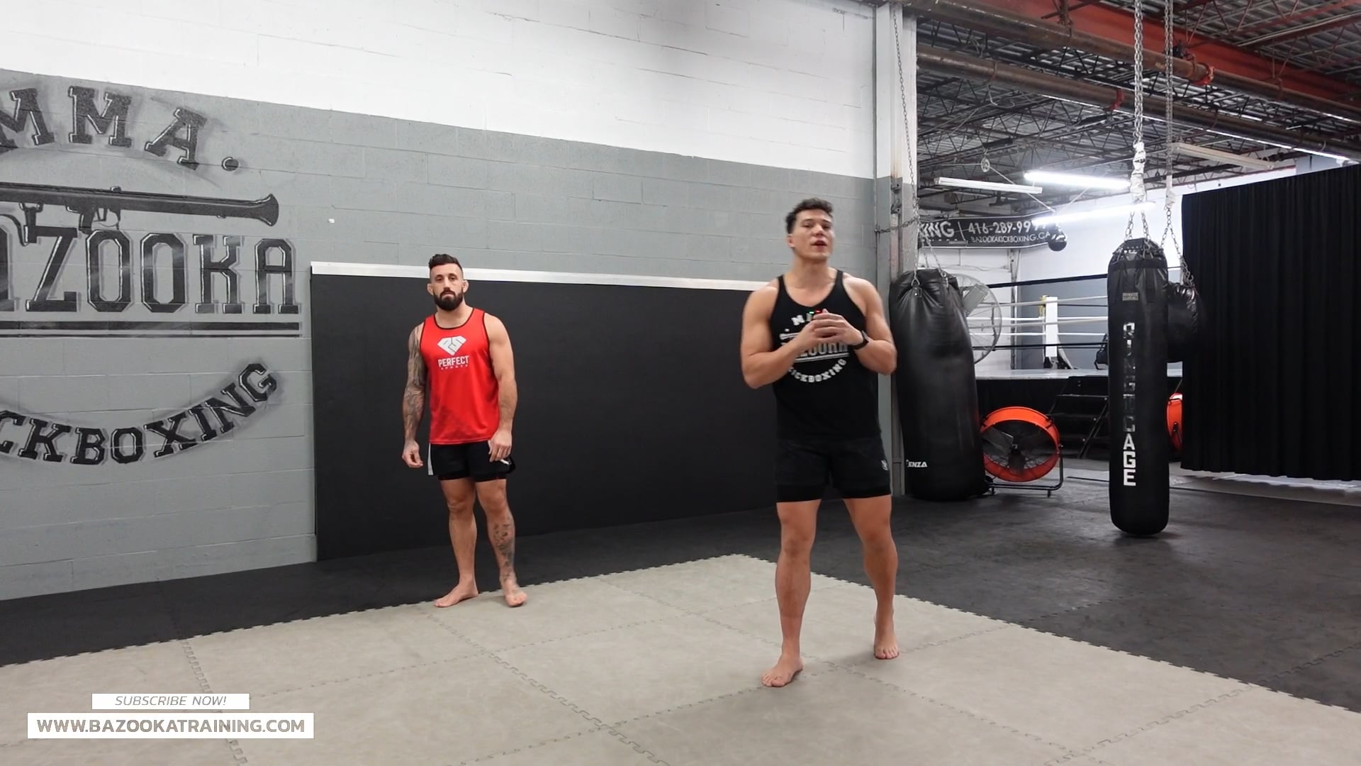 HOME WORKOUTS - WHAT ARE PROBES, FEINTS AND SPEARS