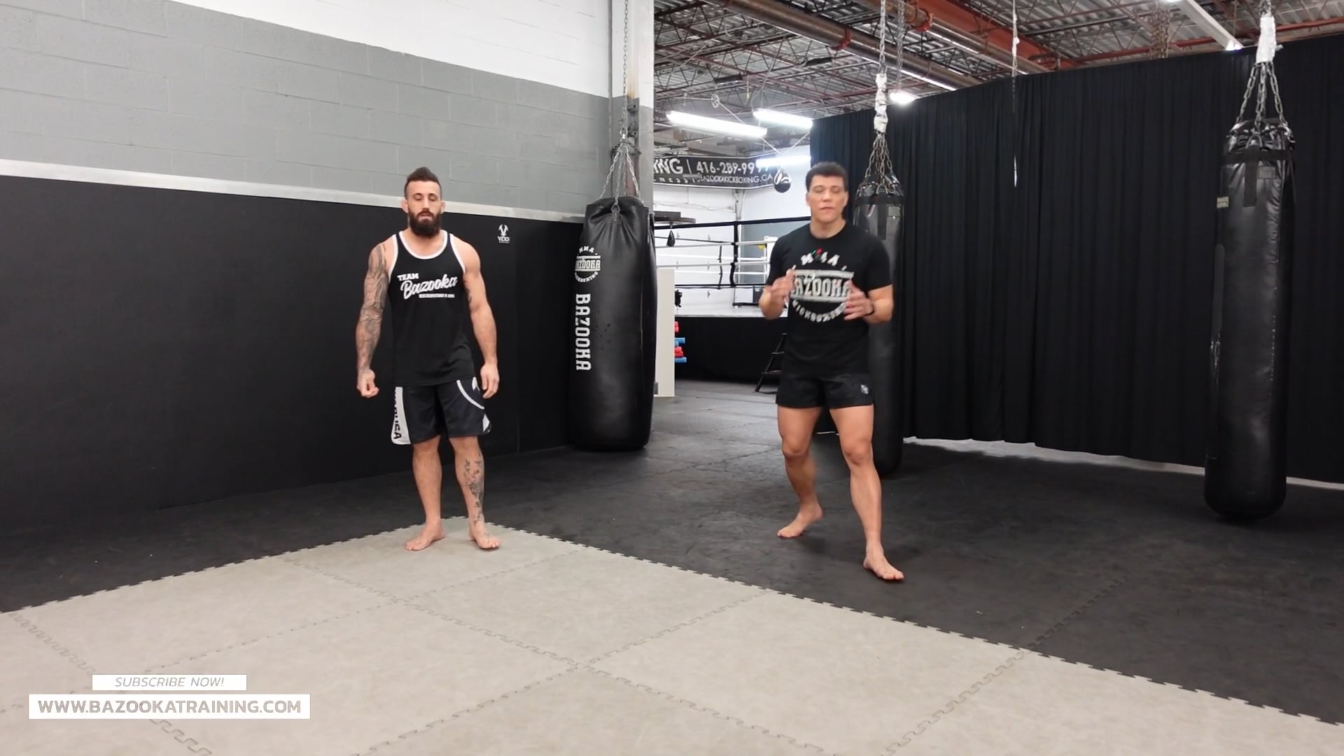 HOME WORKOUTS - SHADOW BOXING WITH SWITCH KICK DEFENCE & COUNTERS