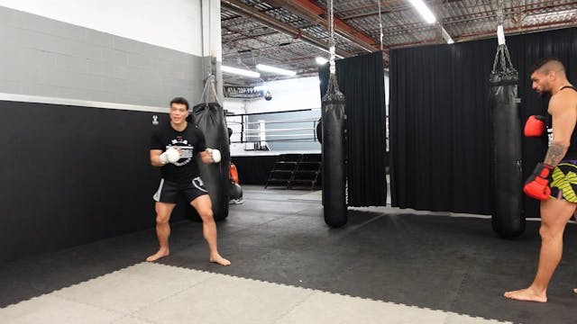 HOME WORKOUTS - BACK STEP ATTACKING