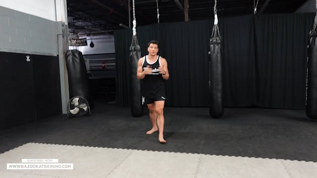 HOME WORKOUTS -SHADOW BOXING FOR DEFENCE