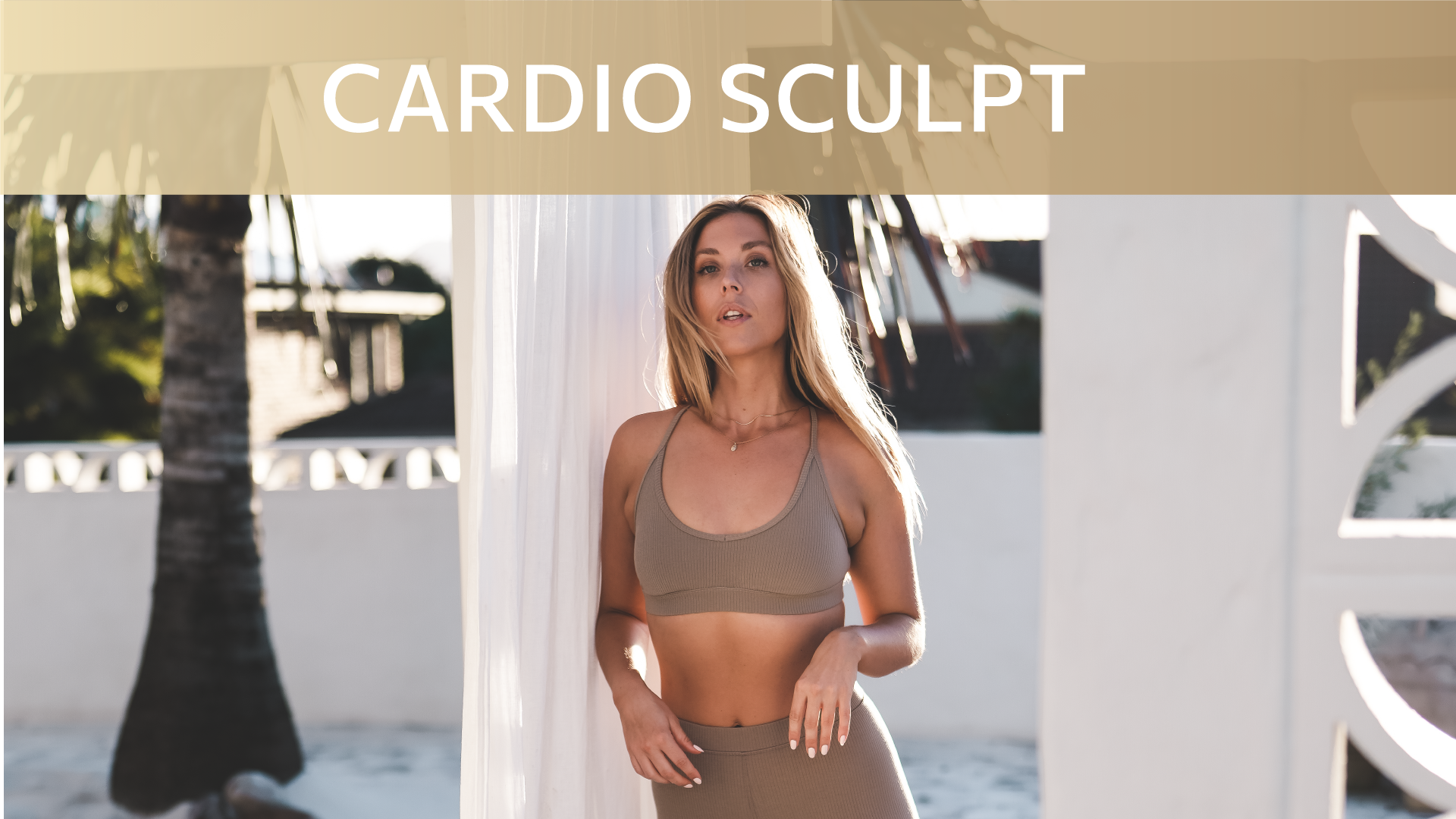 CARDIO SCULPT PROGRAM