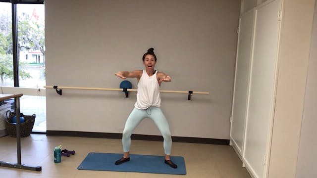 30-Min Slider Barre with Annie