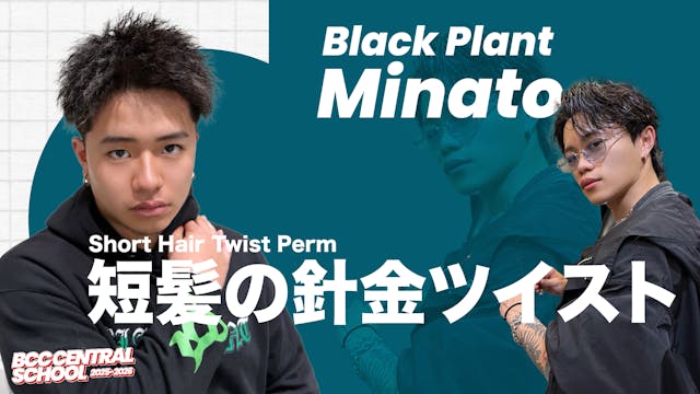 BCC CENTRAL SCHOOL - Black Plant Minato 短髪の針金ツイスト