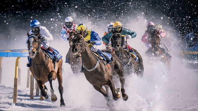 Horse Racing, Roping, Rodeo