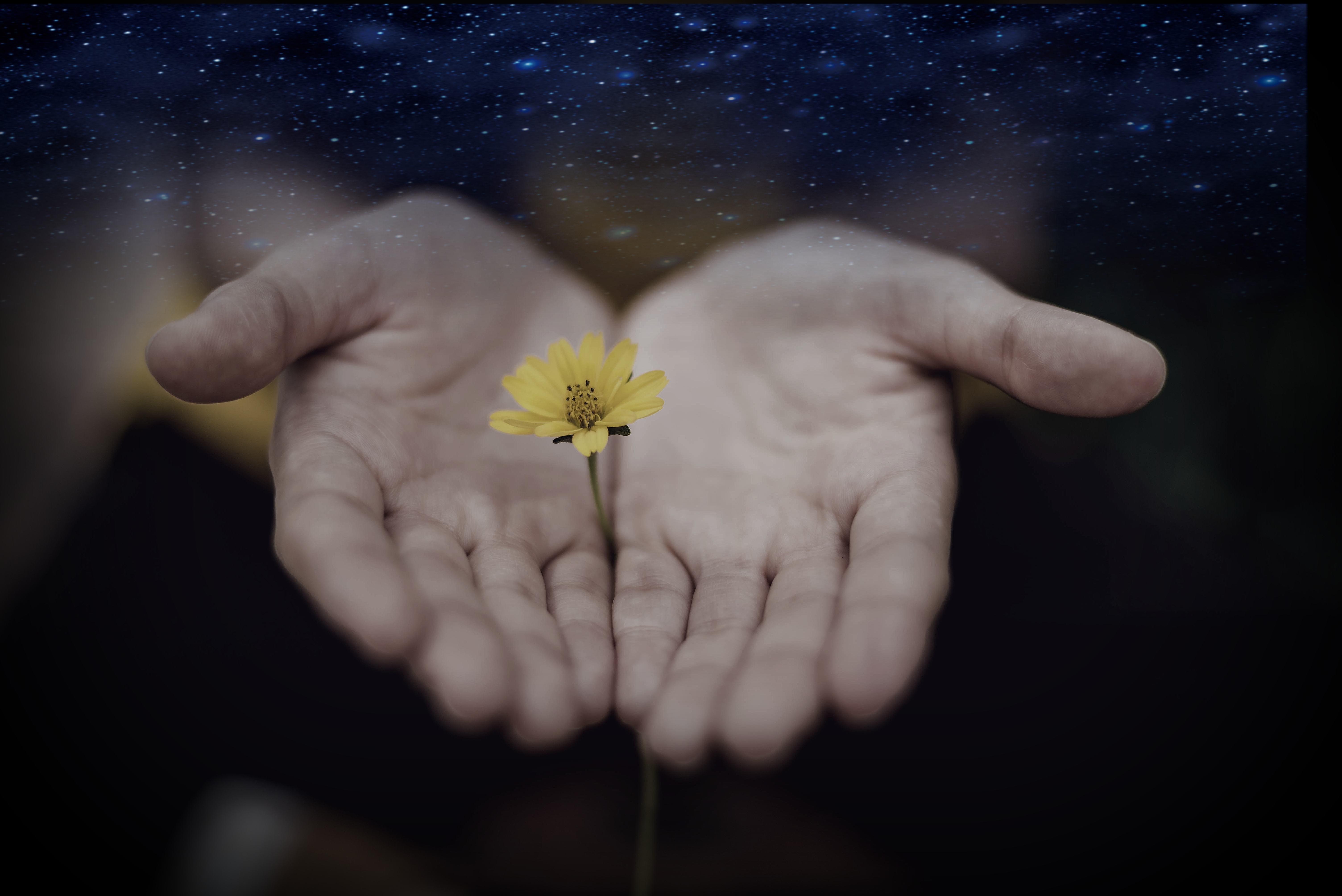 No Love - Twin Baby & Tonka Kash