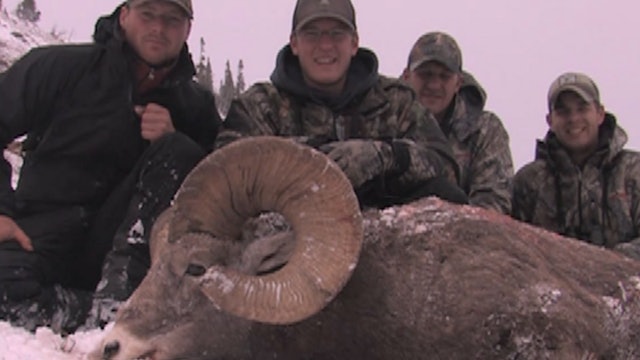 Tom Sallows | Jakt på Bighorn Sheep i Kanada 