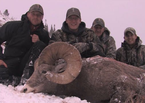 Tom Sallows | Jakt på Bighorn Sheep i...